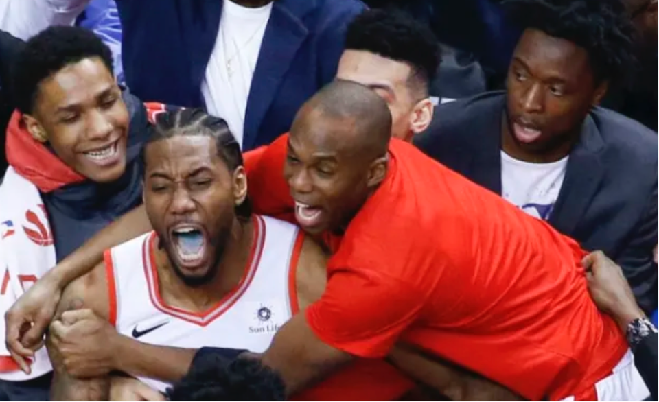 森林狼和乔 森林狼和乔