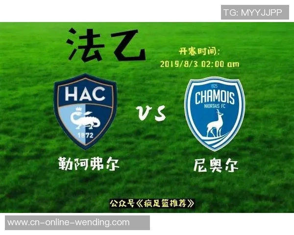 2019年法乙赛季勒阿弗尔对阵尼奥尔精彩回顾与赛果分析